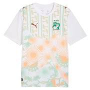 Jersey ivory coast Away World Cup 2026